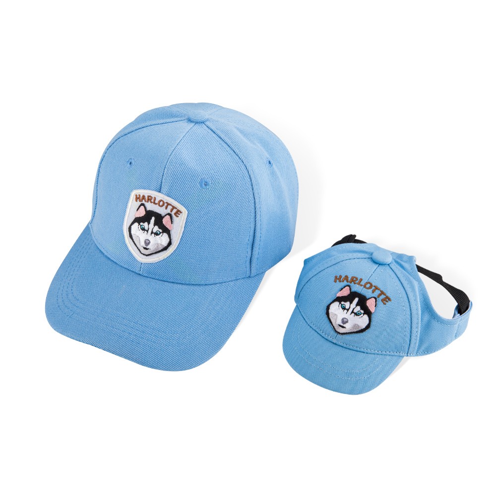 dog hat