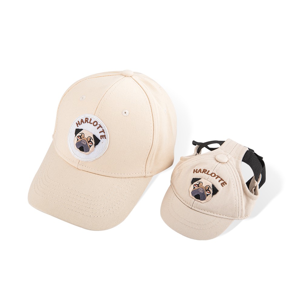 dog hat with ear hole