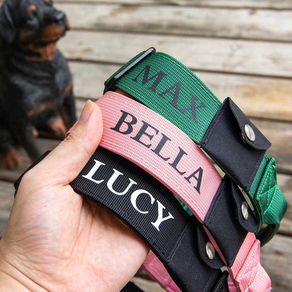 airtag dog collar