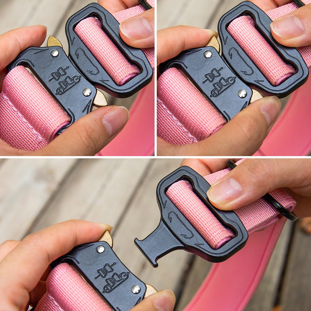 airtag collar