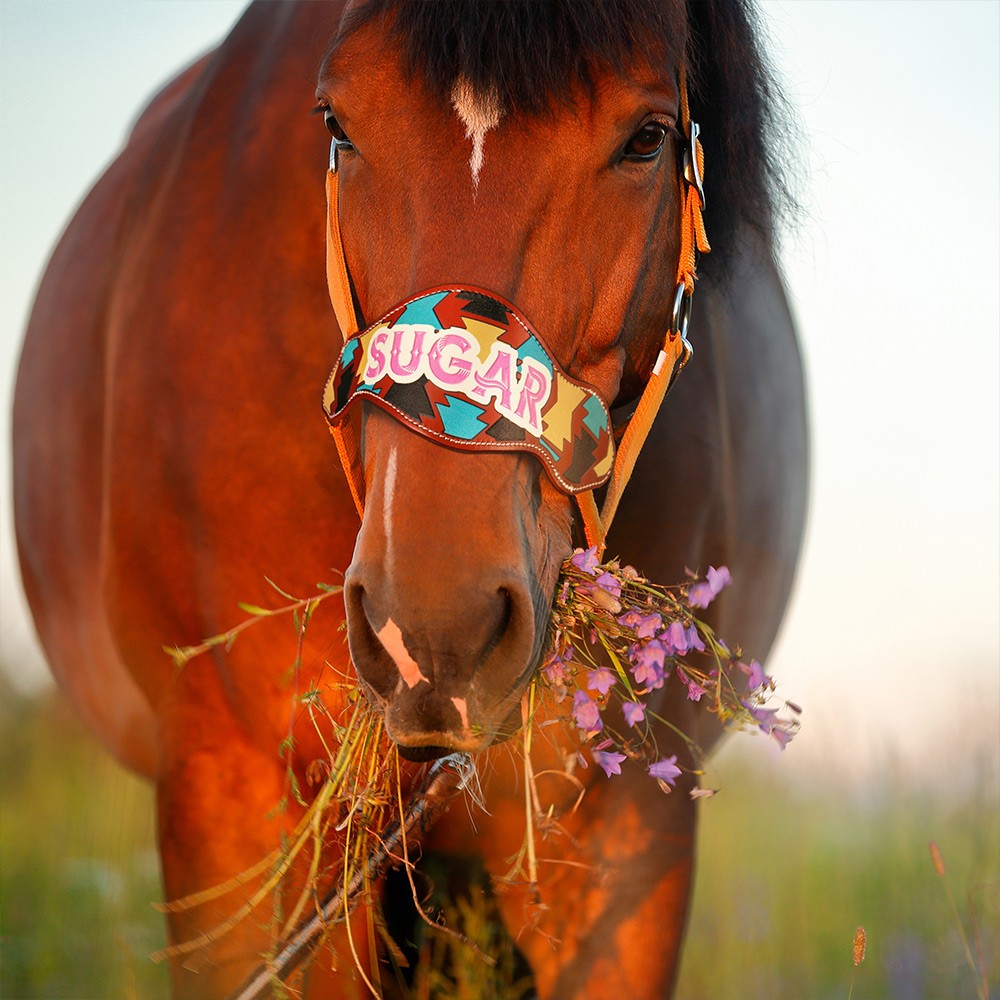 Personalized Name Leather Nosebands, Custom Name Tags for Horses, Memorial Decoration, Horse Accessories, Gifts for Horse Lovers/Equestrian