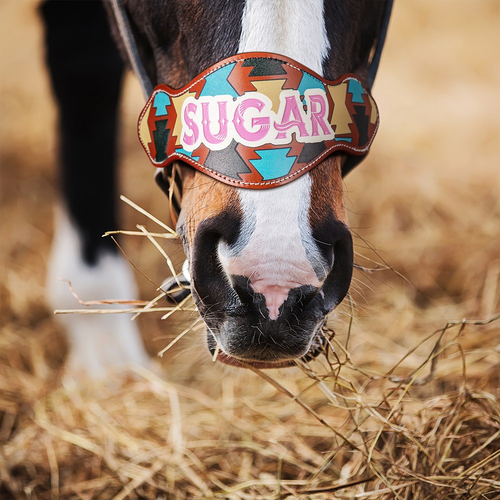 Personalized Name Leather Nosebands, Custom Name Tags for Horses, Memorial Decoration, Horse Accessories, Gifts for Horse Lovers/Equestrian