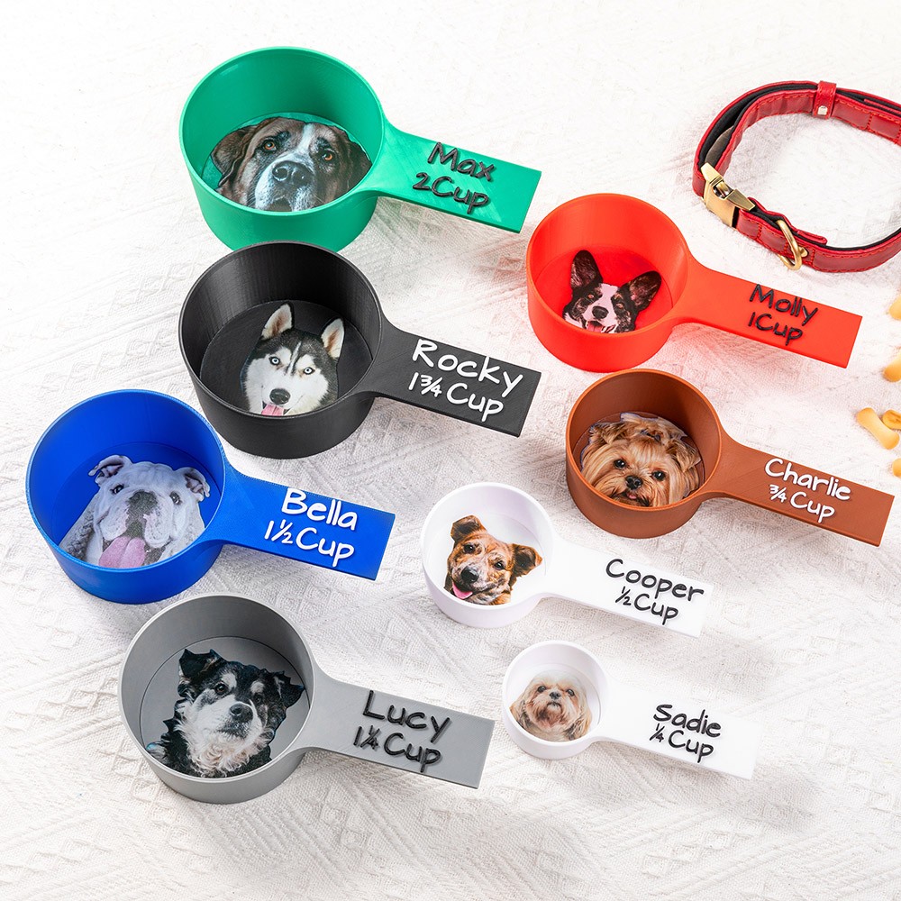 Pet Food dispenser