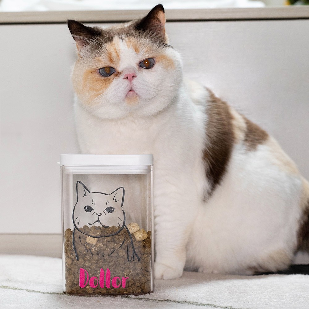 Boîte de friandises pour portrait d'animal de compagnie