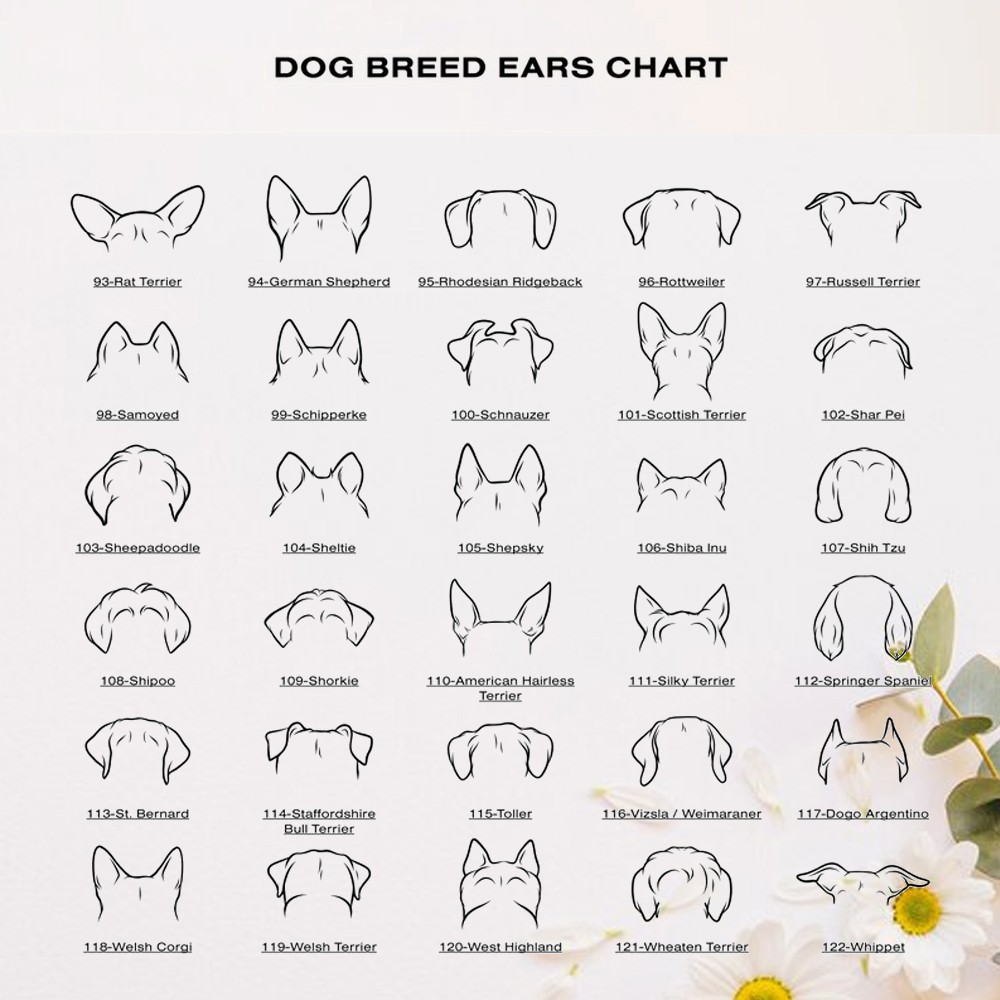 cadeaux de chien personnalisés