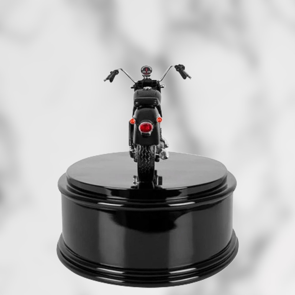 Gift for Rider