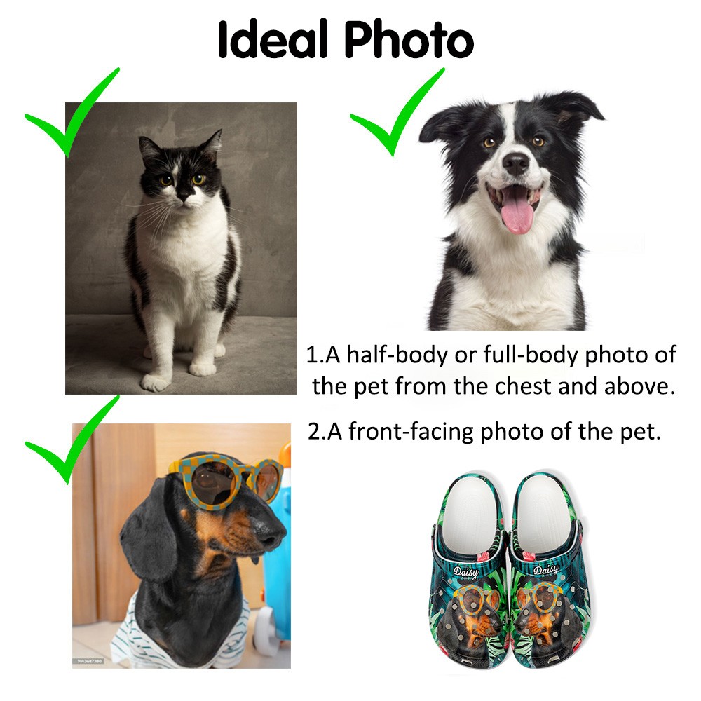 Chaussons sabots personnalisés colorés pour animaux de compagnie avec photo et nom amusants de chien et de chat, cadeau d'anniversaire pour amoureux des animaux