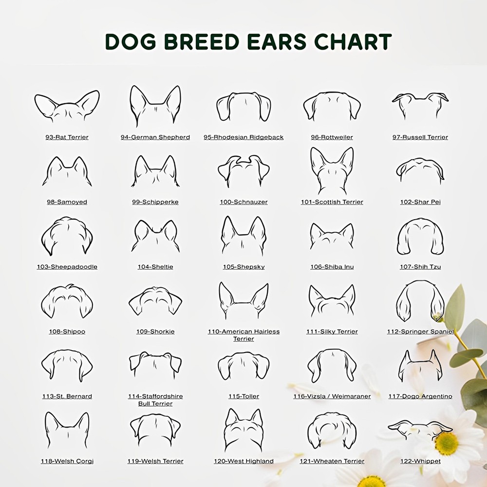 Dog Ears