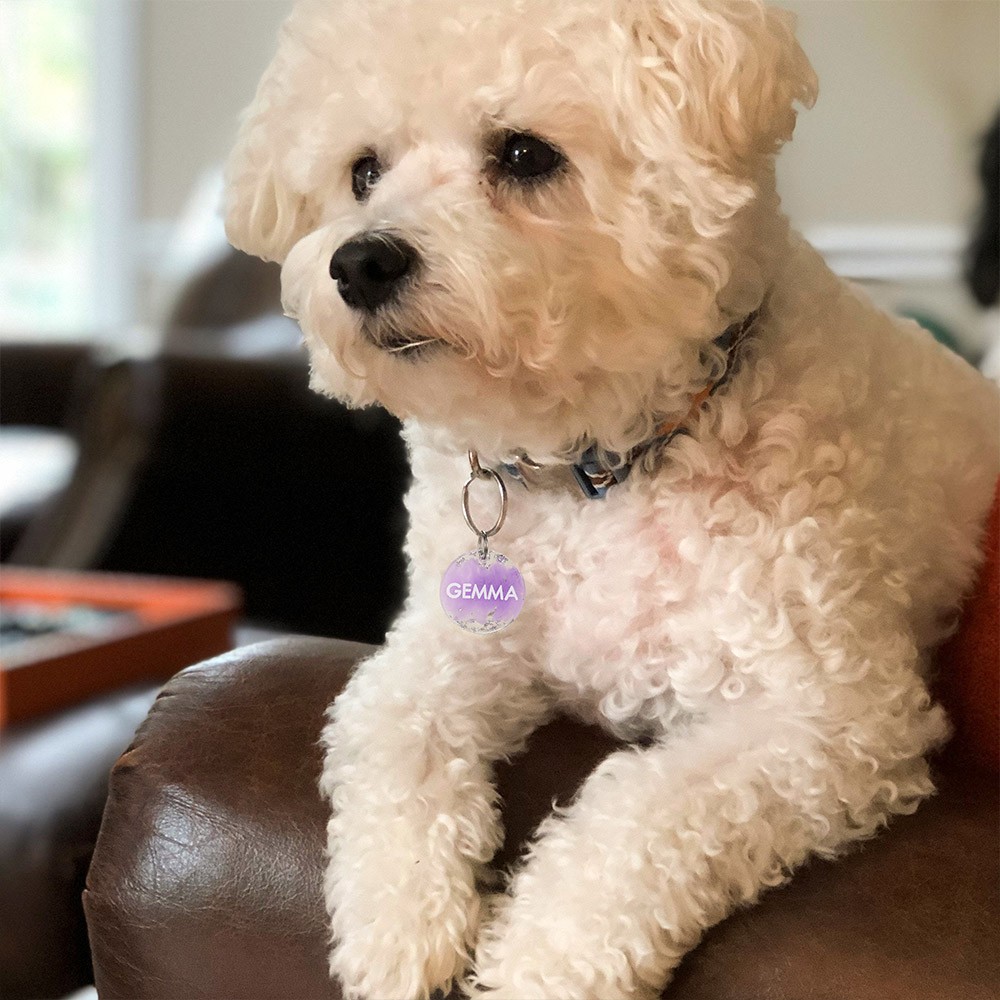 Médaille ronde personnalisée pour chien