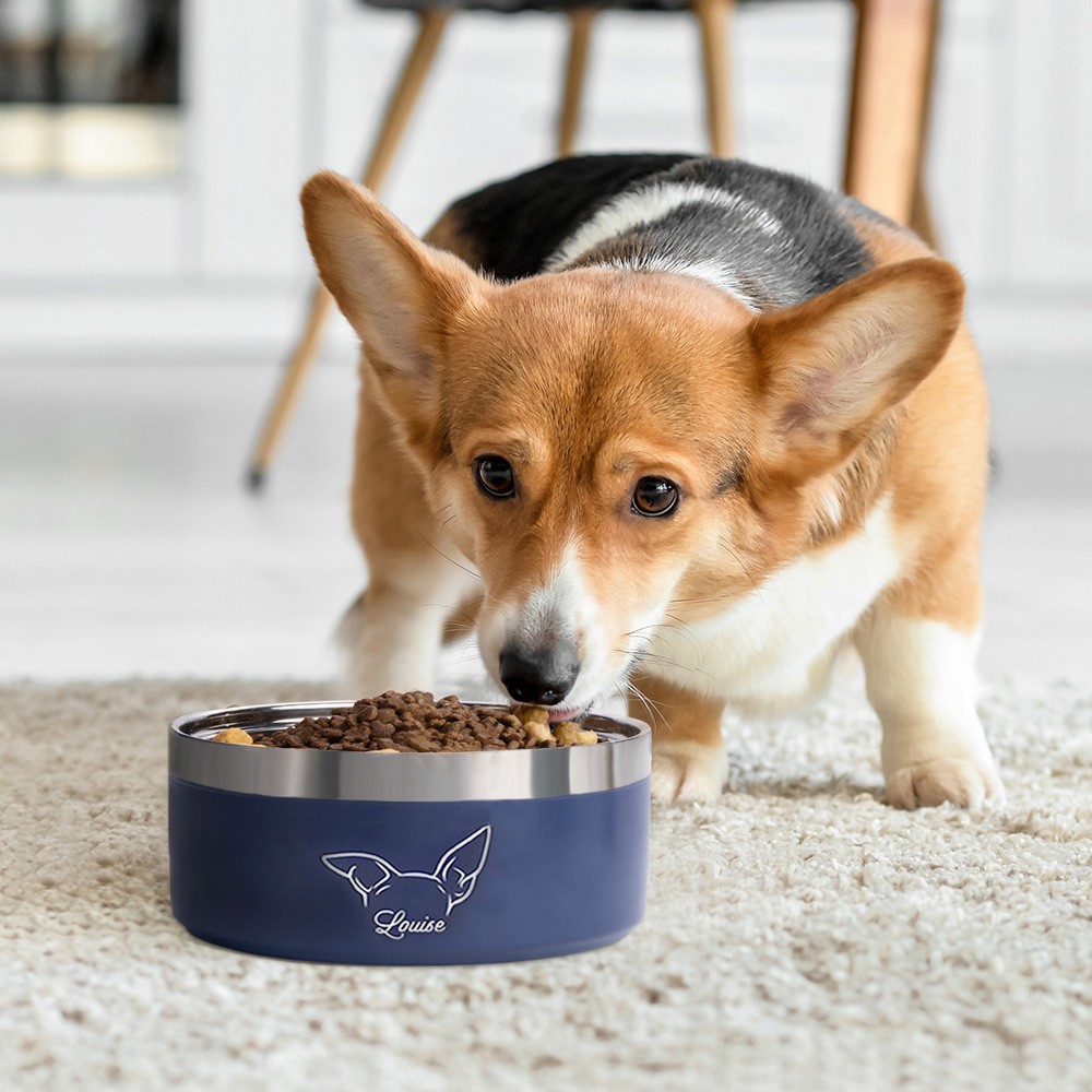 Dog Ears Bowl