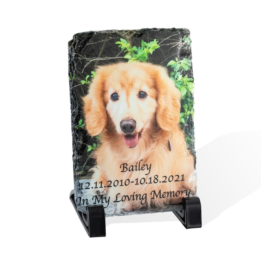 Photo Rock Slate Pet