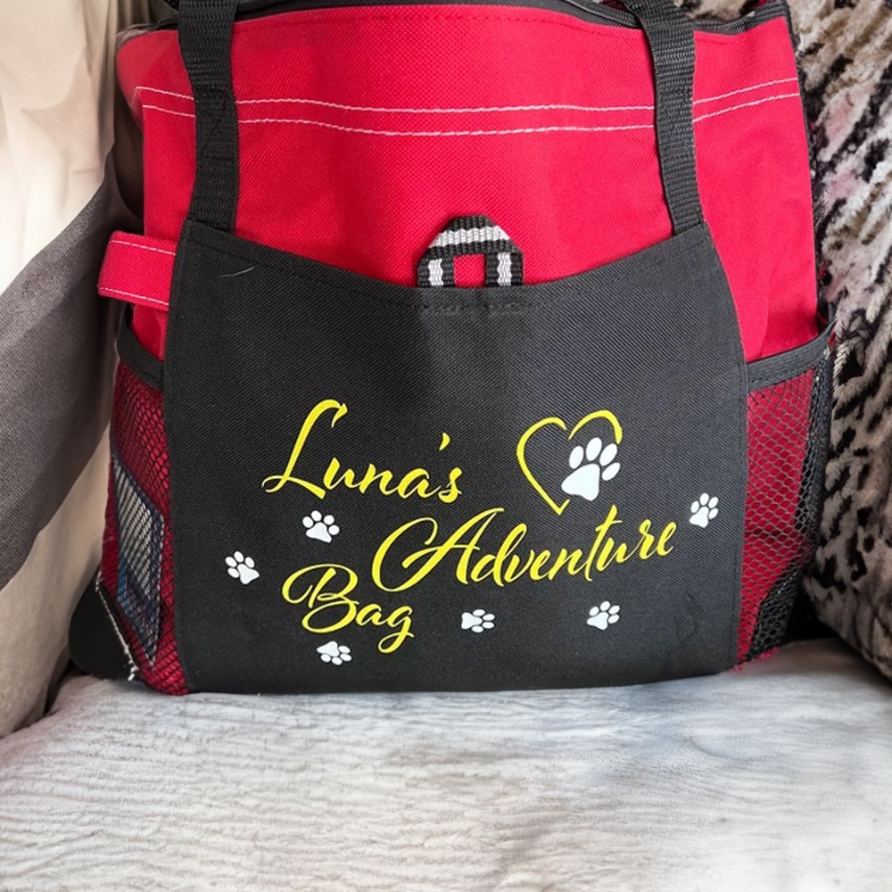 Nouveau cadeau pour chiot