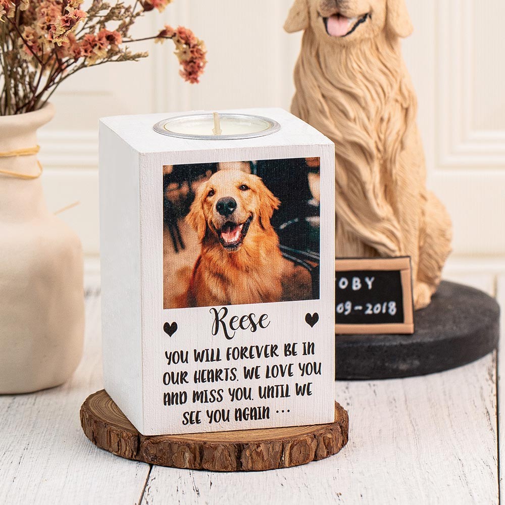pet memorial gift