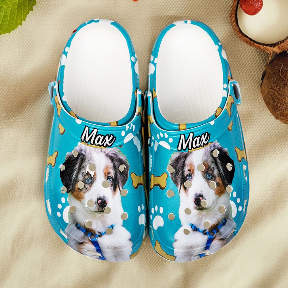 Chaussons sabots personnalisés colorés pour animaux de compagnie avec photo et nom amusants de chien et de chat, cadeau d'anniversaire pour amoureux des animaux