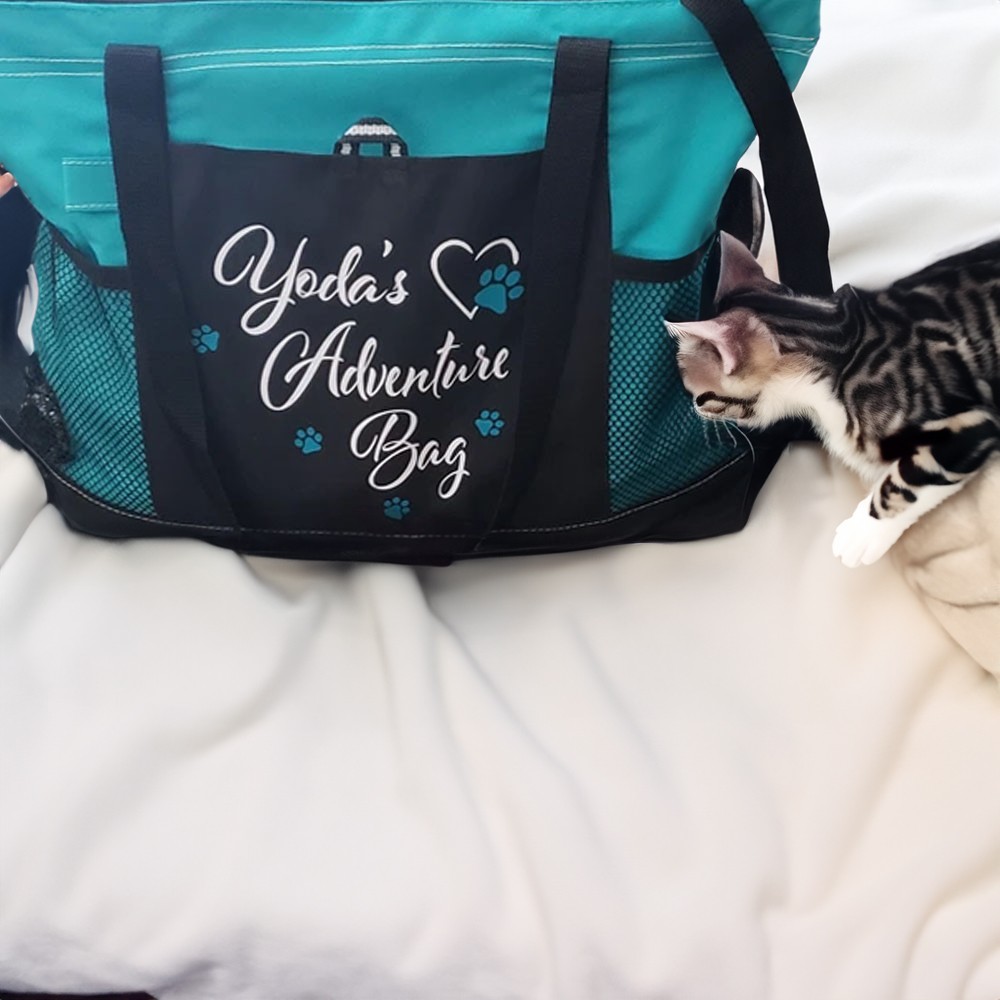 Cadeau de toiletteur pour chiens