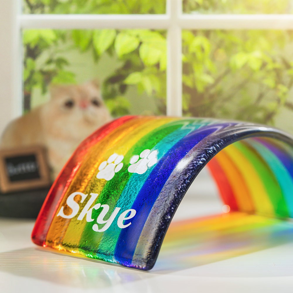 rainbow