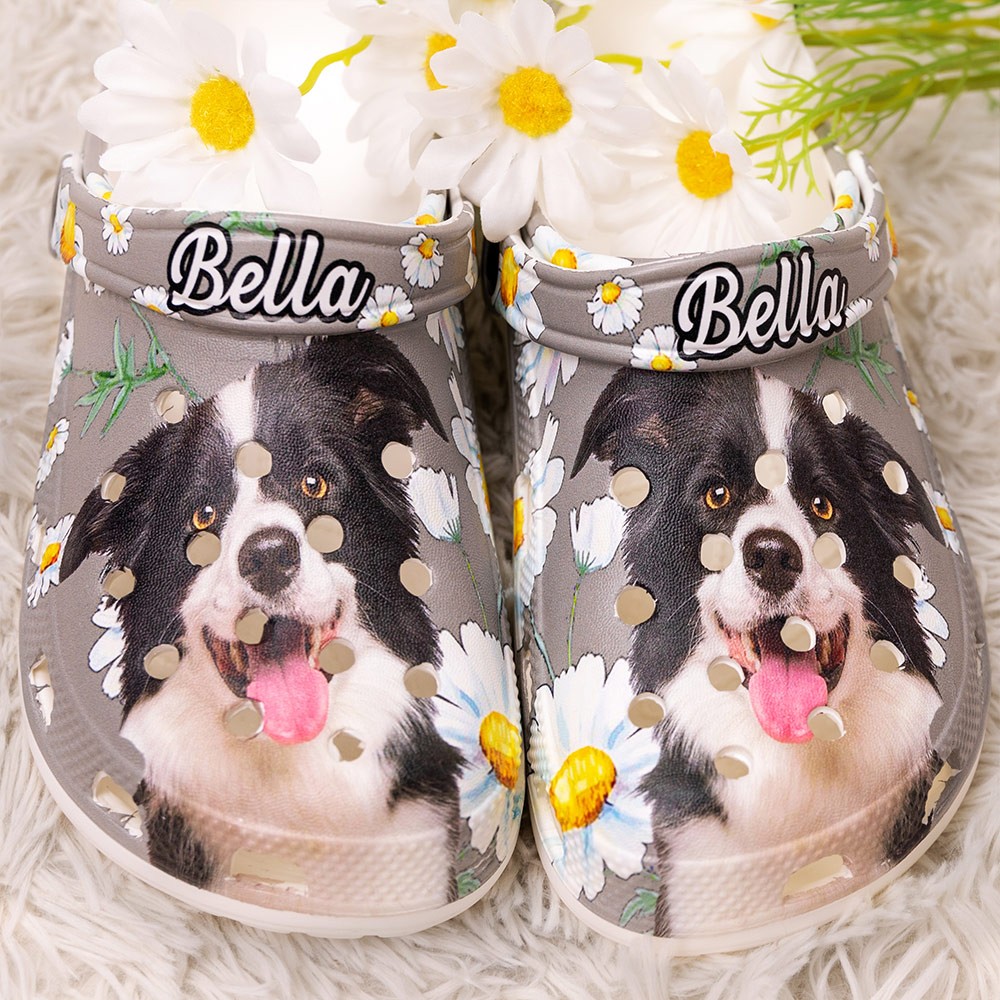 Chaussons sabots personnalisés colorés pour animaux de compagnie avec photo et nom amusants de chien et de chat, cadeau d'anniversaire pour amoureux des animaux