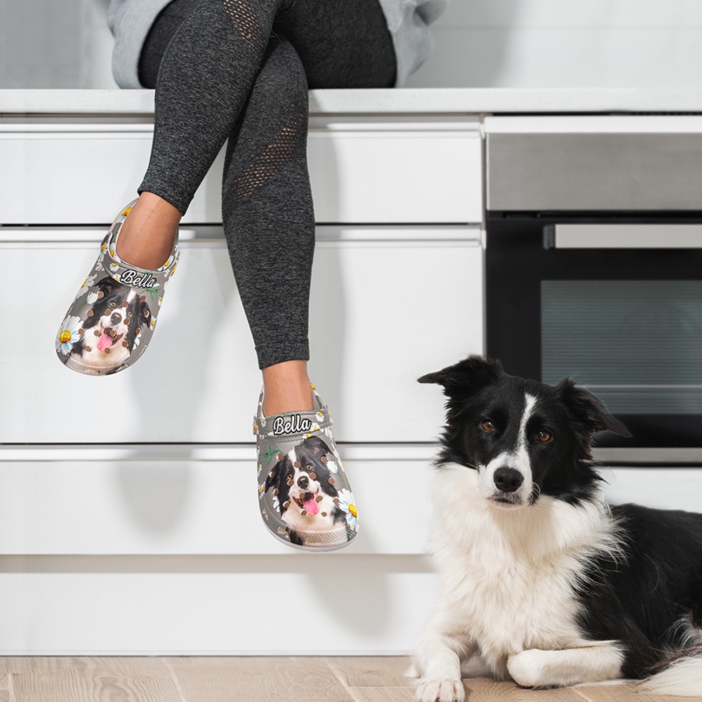 Chaussons sabots personnalisés colorés pour animaux de compagnie avec photo et nom amusants de chien et de chat, cadeau d'anniversaire pour amoureux des animaux