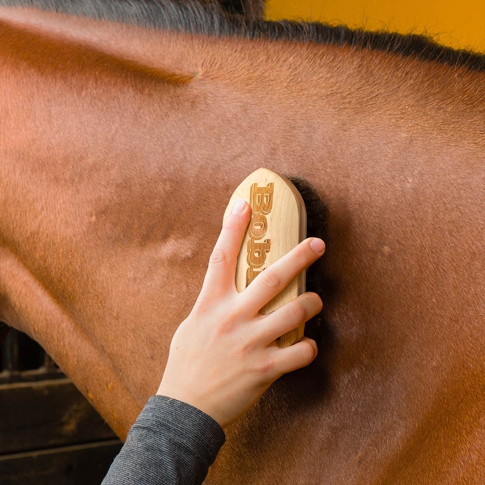 custom horse brush