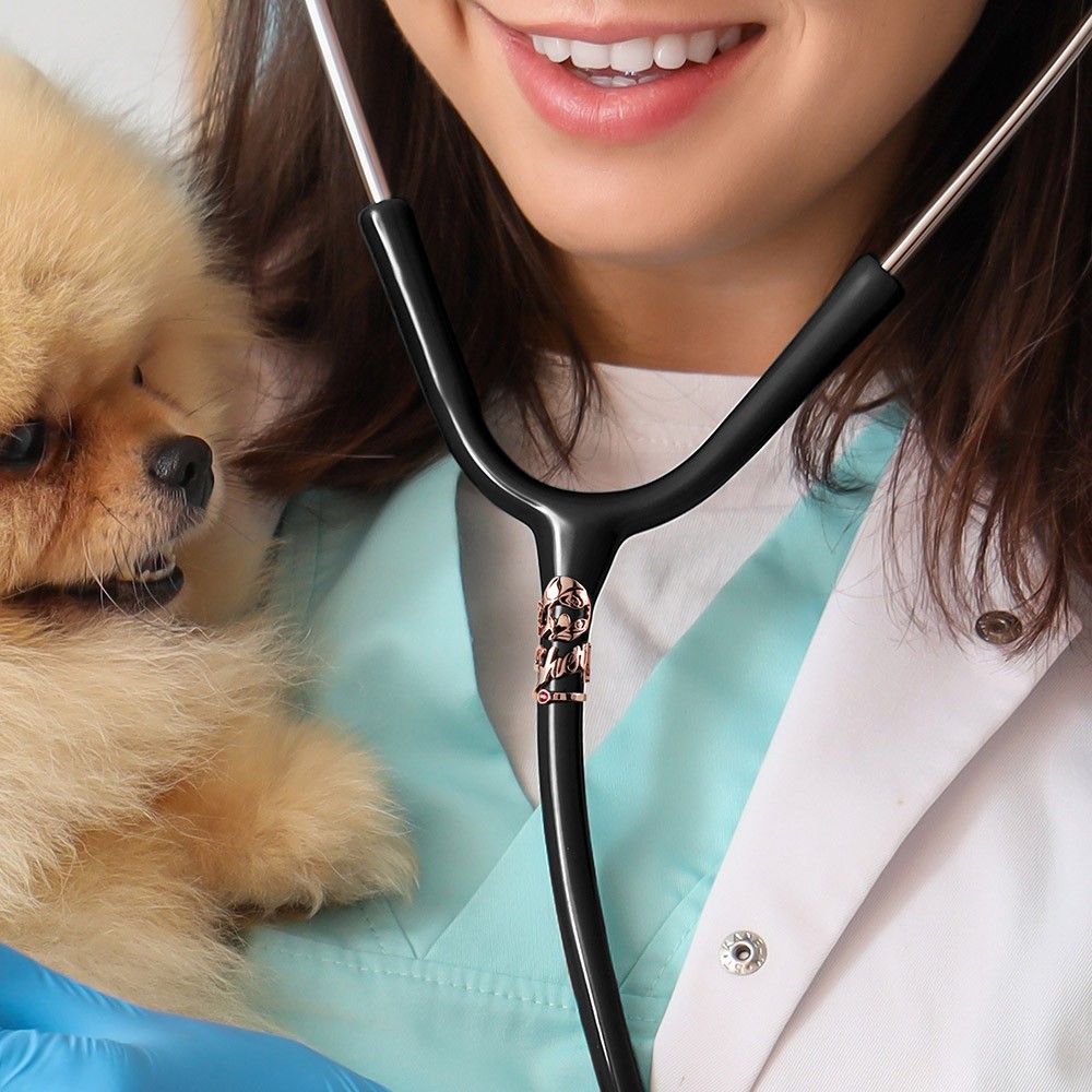 stethoscope id tag