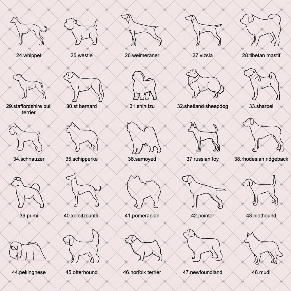 Gift for Pet Lover