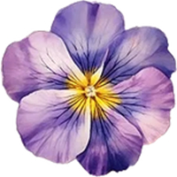 February-Violet