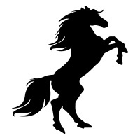 Horse-3