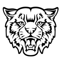 Wildcat-2
