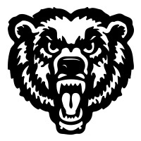 Bear-2