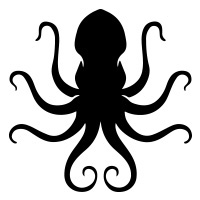 Squid