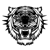 Tiger-3