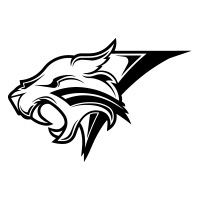 Tiger-2