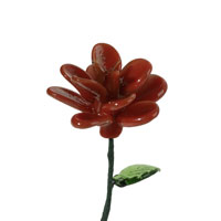 June-Rose