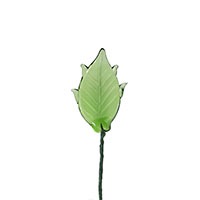 Leaf 6