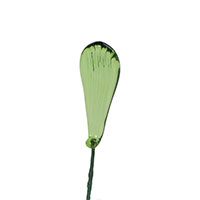 Leaf 3