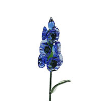 July-Larkspur