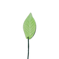 Leaf 8
