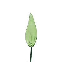 Leaf 4