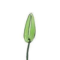 Leaf 5