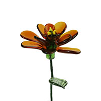October-Marigold