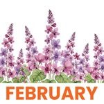 February 2