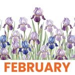 February 1