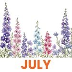 July 1