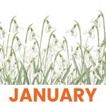 January 2