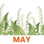 May 2