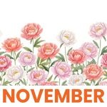 November 2