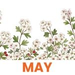 May 1