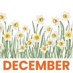 December 2
