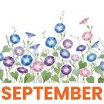 September 2