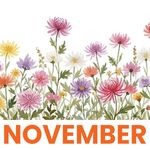 November 1
